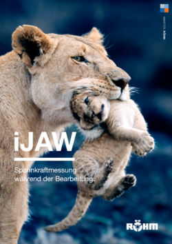 iJaw Informationsbroschüre